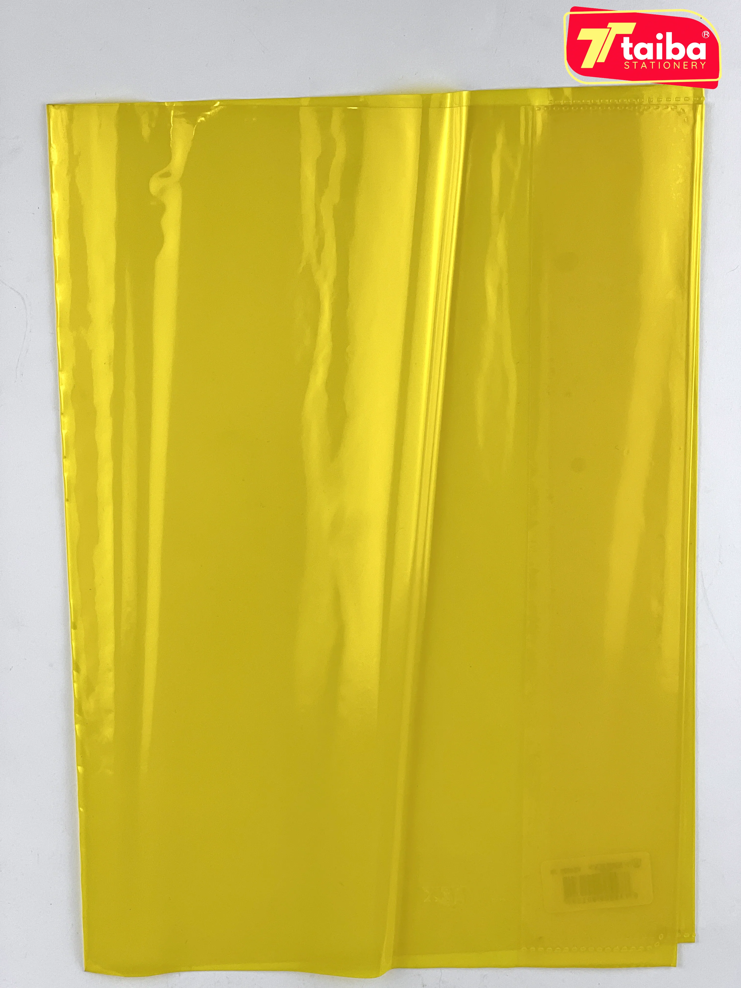 PROTEGE CAHIER VERTEX